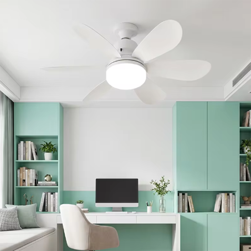 2026 Nieuwe E26/E27 Schroefmon - Ceiling Fan Mount recensie en prijs