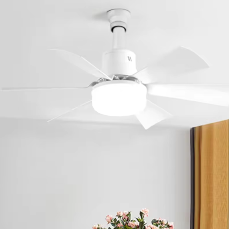 2026 Nieuwe E26/E27 Schroefmon - Ceiling Fan Mount recensie en prijs